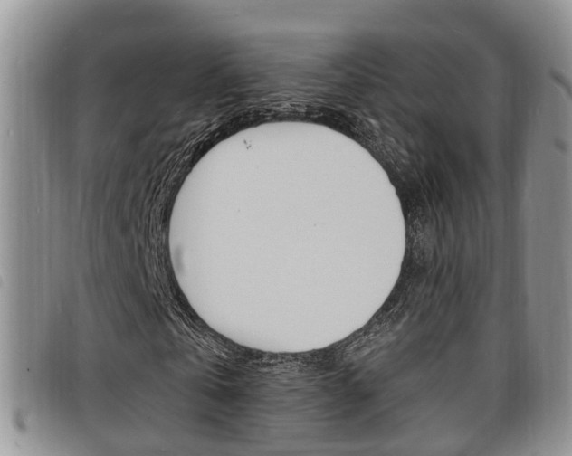 X0000098200769200804241038