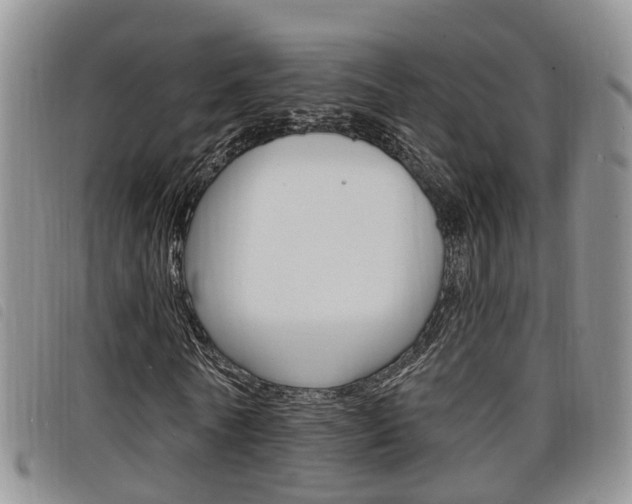 X0000098200770200804241038