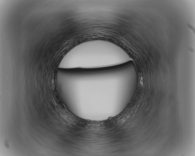 X0000098200771200804241038
