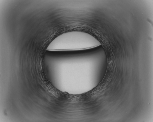 X0000098200772200804241038