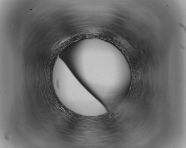 X0000098200773200804241038