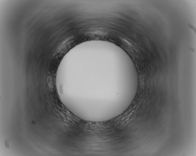 X0000098200774200804241038