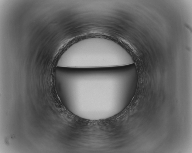 X0000098200776200804241038
