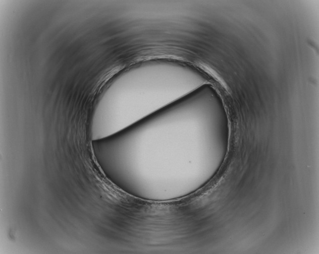 X0000098200777200804241038