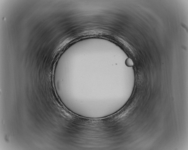 X0000098200778200804241038