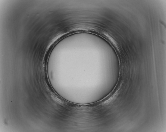 X0000098200779200804241038