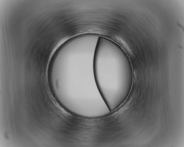 X0000098200780200804241038