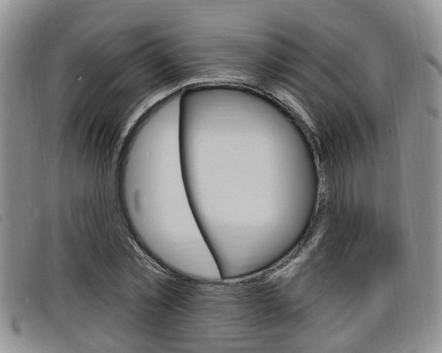 X0000098200781200804241038