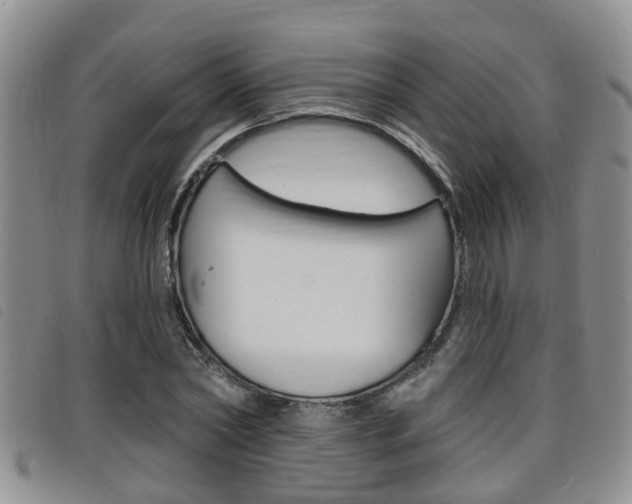 X0000098200782200804241038