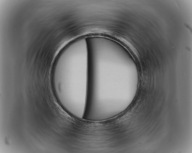 X0000098200783200804241038