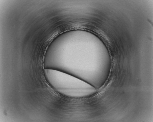 X0000098200785200804241038