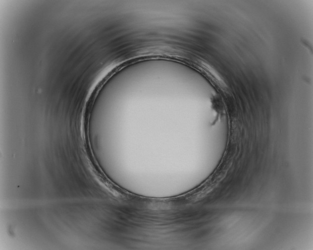 X0000098200788200804241037