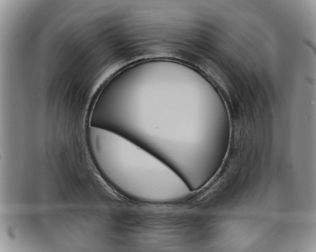 X0000098200789200804241037