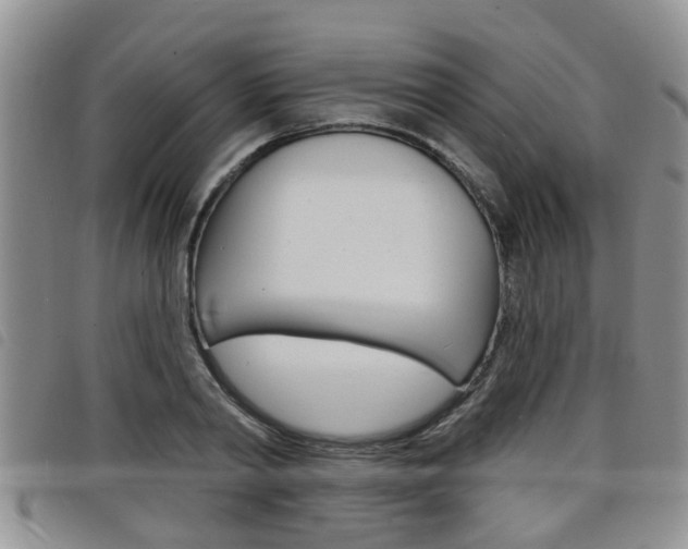 X0000098200790200804241037