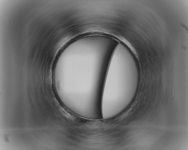 X0000098200791200804241037