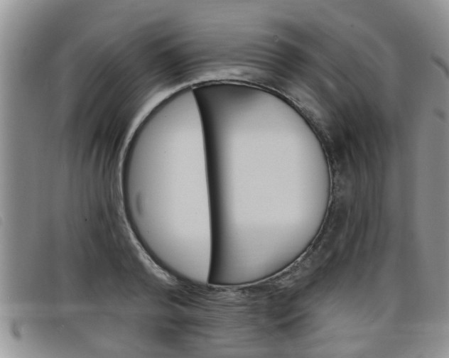 X0000098200792200804241037