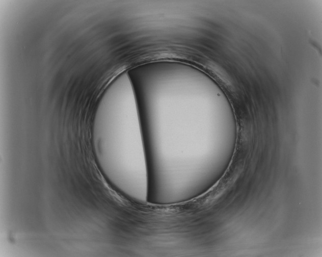X0000098200793200804241037