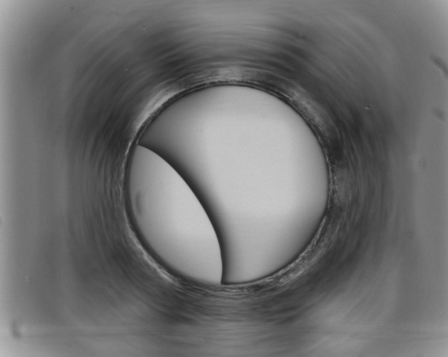 X0000098200794200804241037