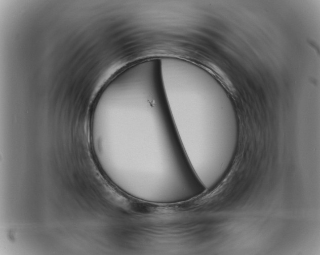 X0000098200796200804241037