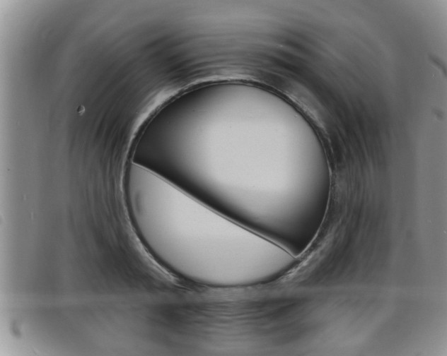 X0000098200797200804241037