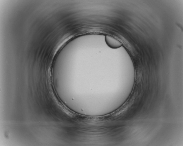 X0000098200798200804241037