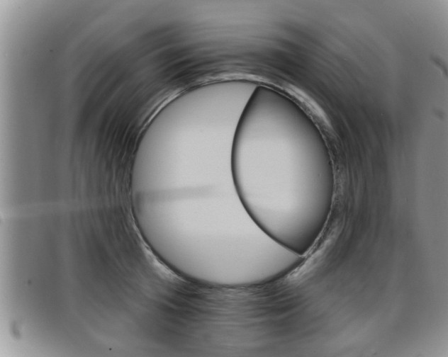 X0000098200801200804241037