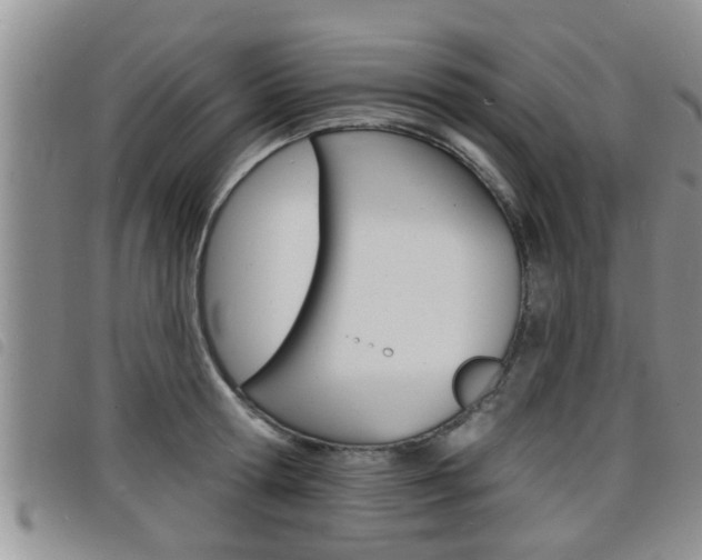 X0000098200802200804241037