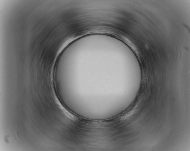 X0000098200803200804241037