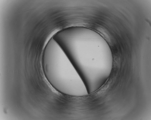 X0000098200804200804241037