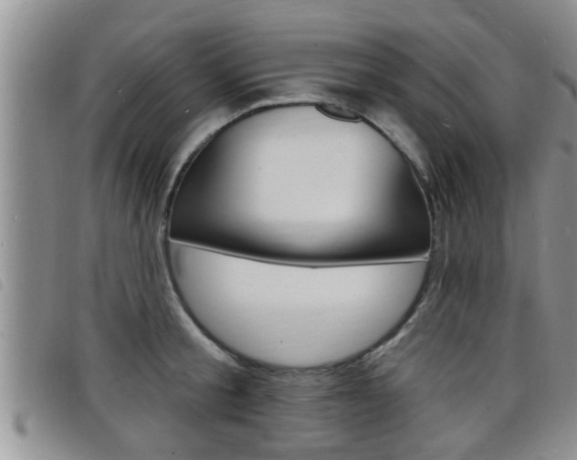 X0000098200805200804241037