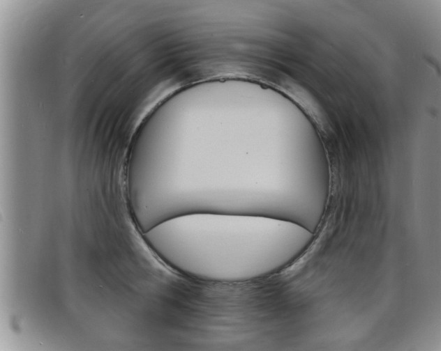 X0000098200806200804241037