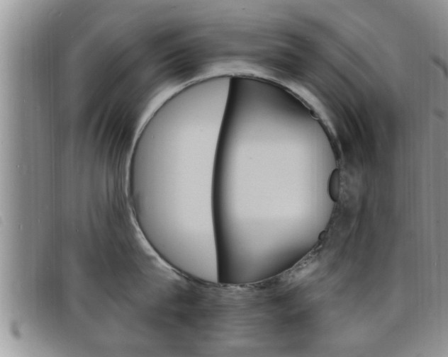 X0000098200815200804241037