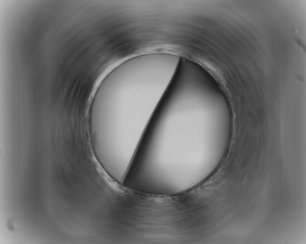 X0000098200816200804241037