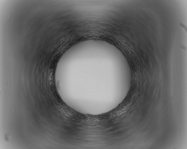 X0000098200818200804241036