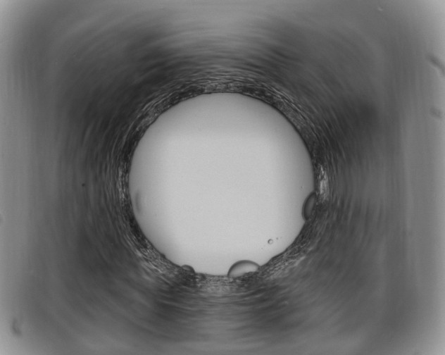 X0000098200819200804241036