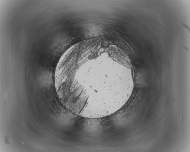 X0000098200820200804241036