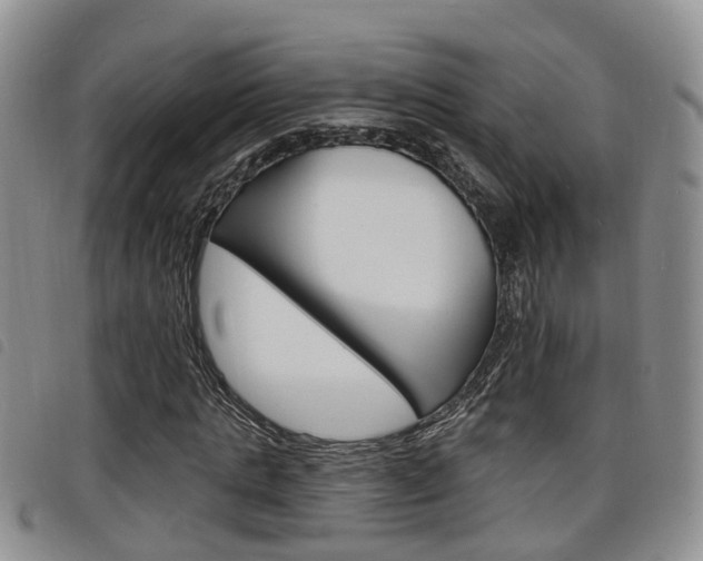 X0000098200821200804241036