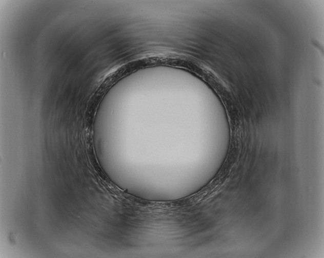 X0000098200822200804241036