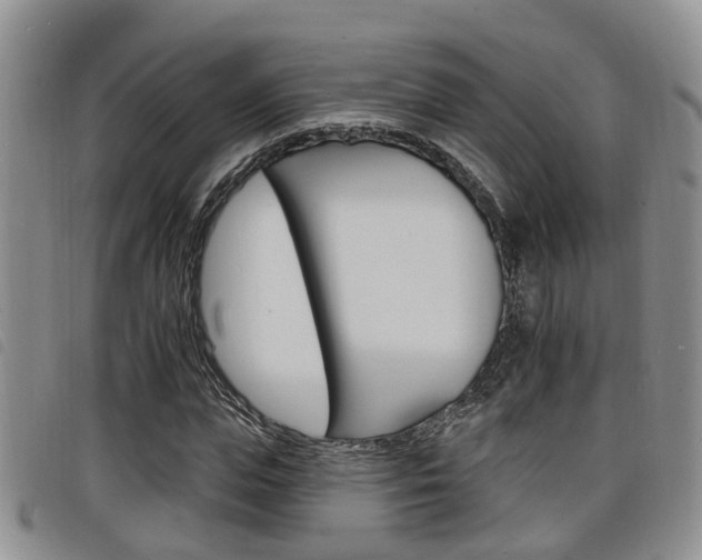 X0000098200823200804241036