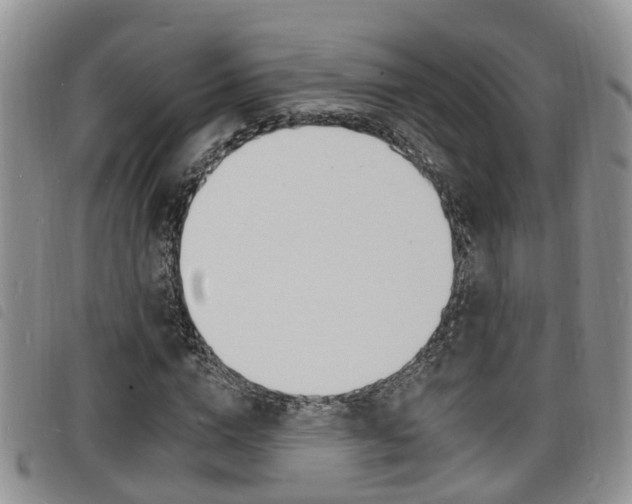 X0000098200824200804241036
