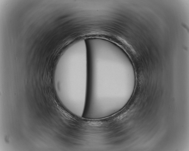 X0000098200825200804241036