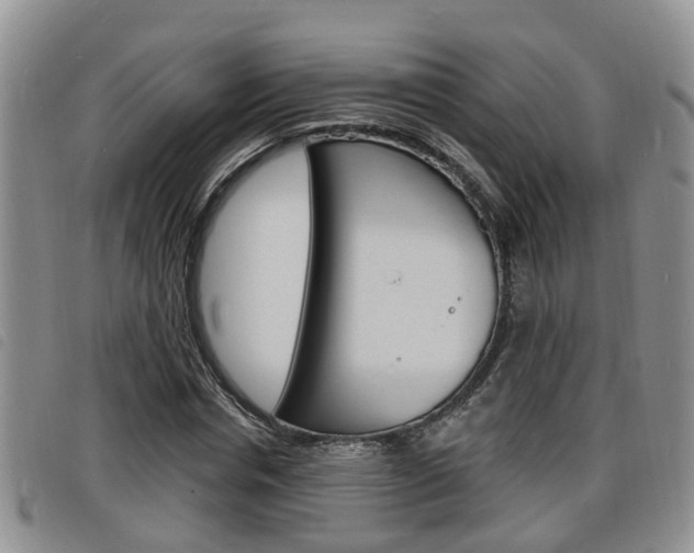 X0000098200826200804241036