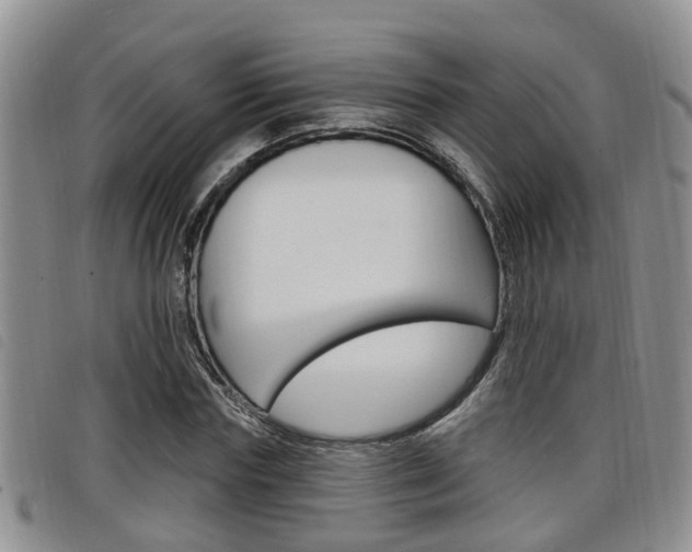 X0000098200827200804241036
