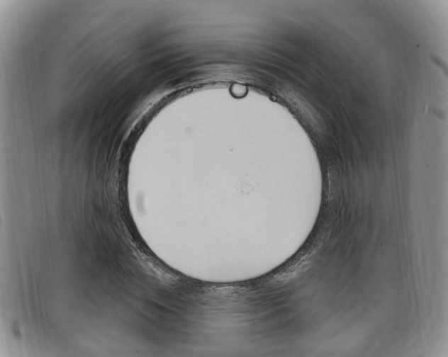 X0000098200828200804241036