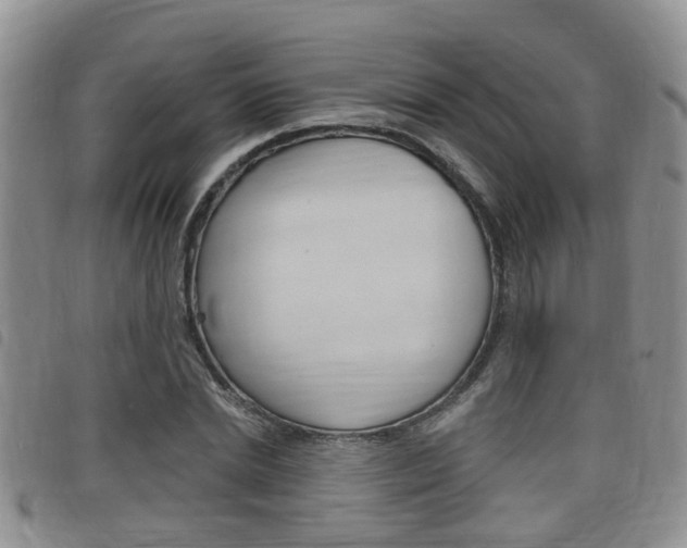 X0000098200830200804241036