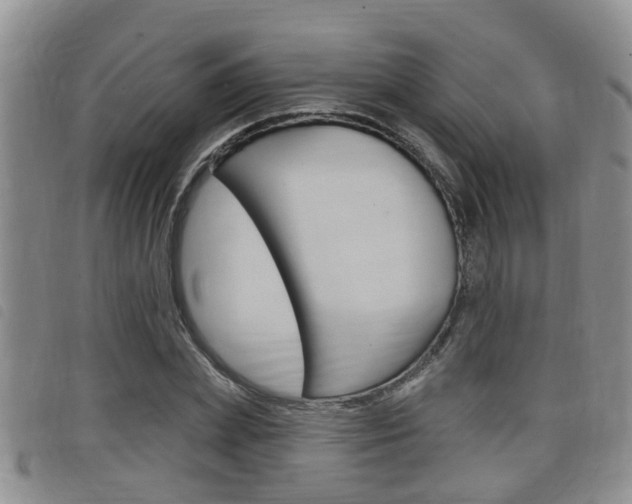 X0000098200831200804241036