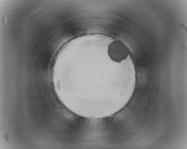X0000098200832200804241036