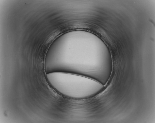 X0000098200833200804241036