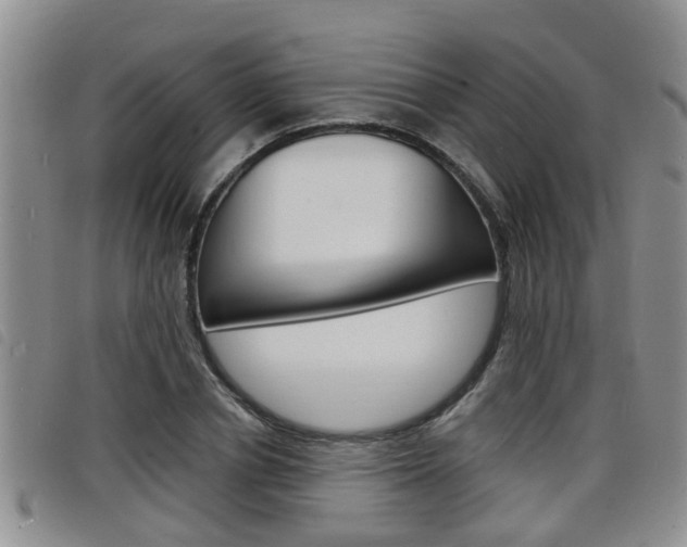 X0000098200834200804241036