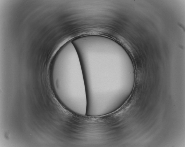 X0000098200835200804241037
